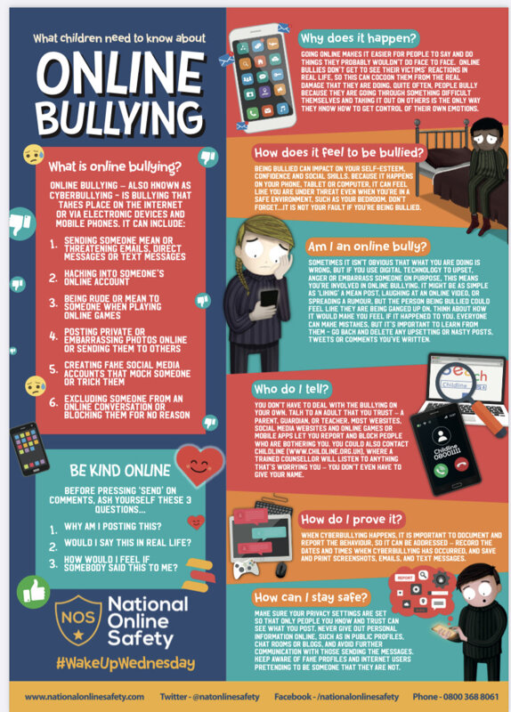 Image of National Online Safety - Online Bulling