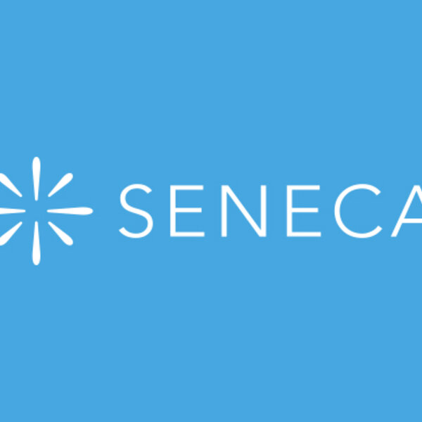Image of New SENECA Homepage 